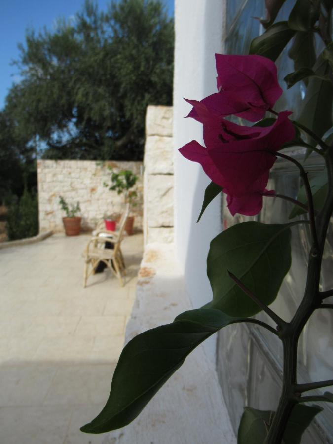 Casa Ale & Vinci Villa Monopoli Exterior foto