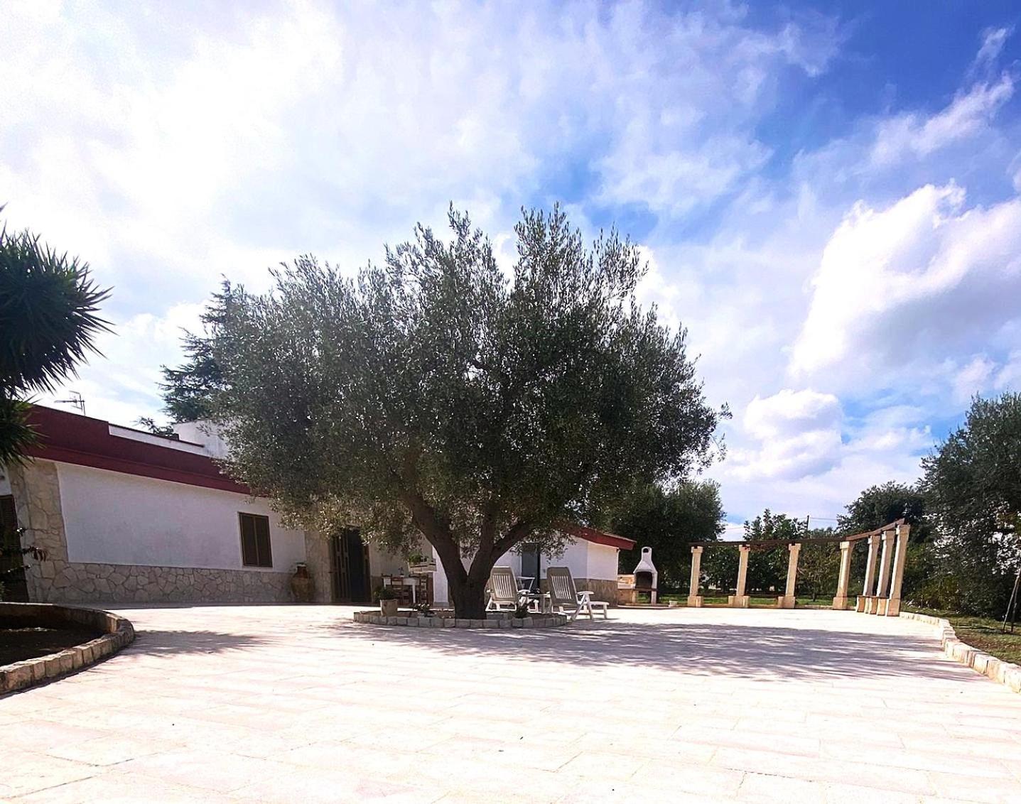 Casa Ale & Vinci Villa Monopoli Exterior foto