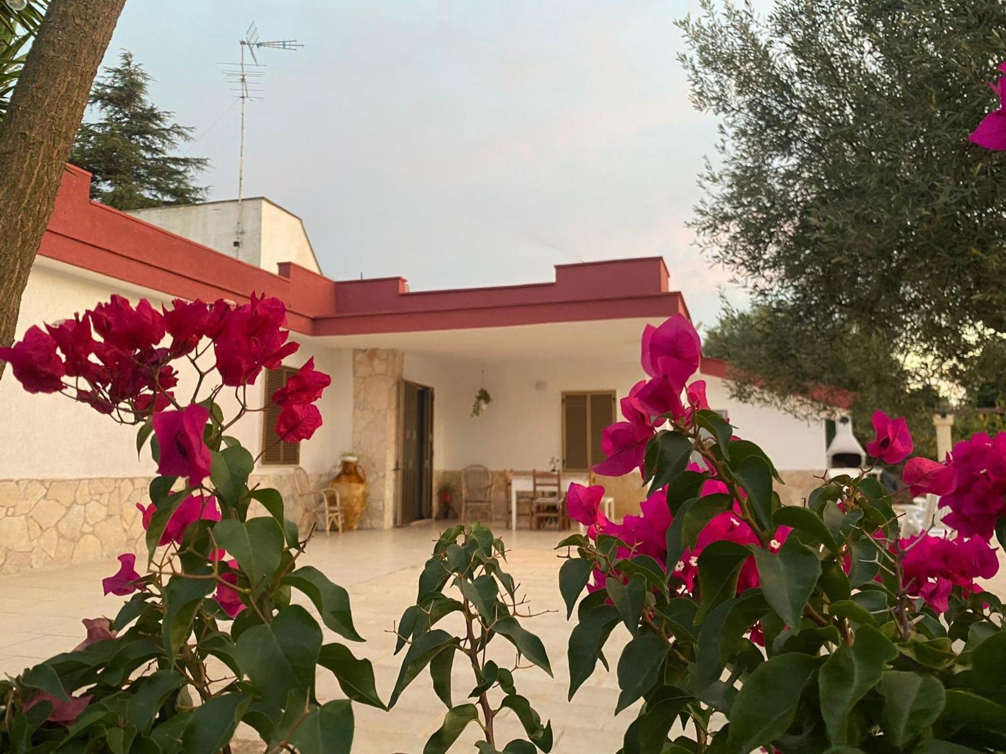 Casa Ale & Vinci Villa Monopoli Exterior foto